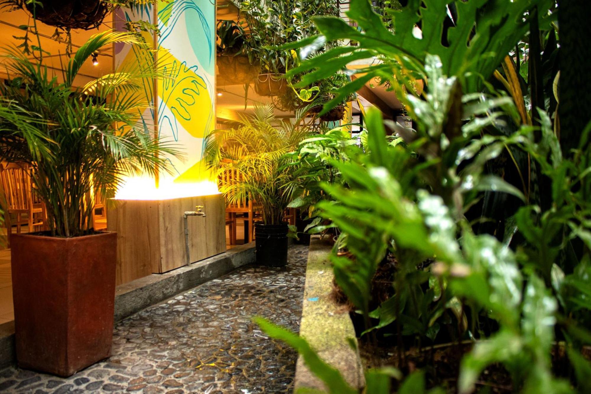 Green Hotel Natural Medellin Luaran gambar